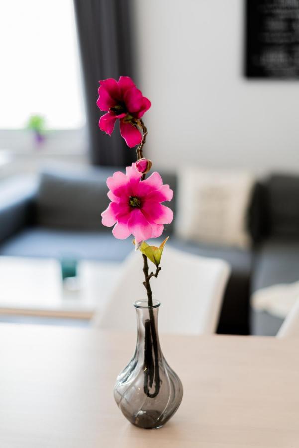 Helle Wohnung In Top-Lage, Hasselbachplatz - Altstadt, W-Lan, 4 Schlafplaetze Magdeburg Ngoại thất bức ảnh
